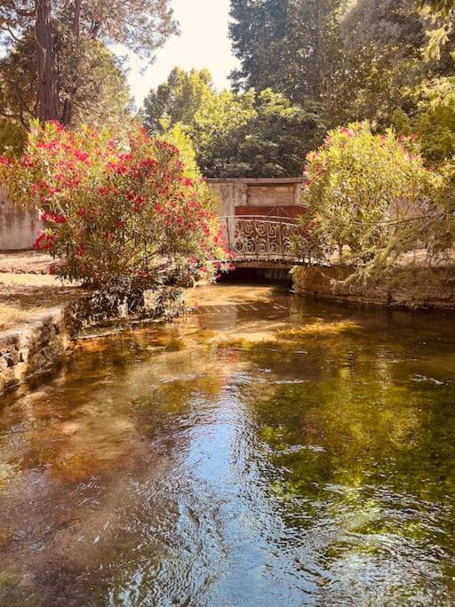 Appartement Fontaine De Vaucluse Buitenkant foto